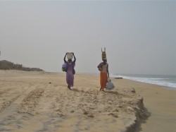 au marché, Sopi von Sopronyi