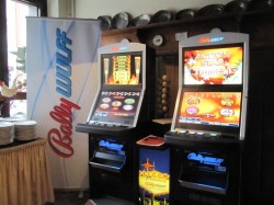 Action Star Tropical