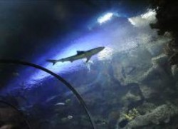 (Foto: Las Vegas News Bureau)