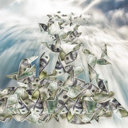 Rhyfallwuche_SCSH_Februar