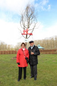 Als symmetrische Ergänzung zu der erst kürzlich gepflanzten Stieleiche erhielt der Tulpenbaum seinen Platz im Englischen Garten von Schloss Benkhausen. Mit der Pflanzung erfährt der in der Region einmalige Schlossgarten, welcher sich schon jetzt als beliebtes Ausflugsziel etabliert hat, eine weitere Aufwertung.