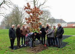 Mitarbeiter des Garten- und Landschaftsbau-Unternehmens Rasche (vorne) pflanzten im Beisein von Bauprojektleiter Richard Grobecker, Uwe Lomberg, Heino Schierloh, Wolfram Piel und seiner Enkelin Johanna, Landschaftsarchitekt Christhard Ehrig, Detlef Speiser, Kirsten Beste (1. Vorsitzende des Geschichtsvereins Benkhausen), Ingrid Lomberg und Paul Gauselmann (Vorstandsvorsitzender der Gauselmann Gruppe) die Japanische Kaiser-Eiche (v.l.n.r.).