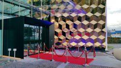 14900451_1123487537728349_8909585209105490989_n