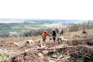 Aktion Bäume fürs Leben