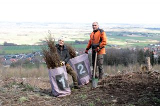 Aktion Bäume fürs Leben
