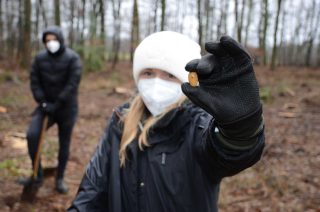 Neben den 200 Setzlingen wurden auch 1200 Kastanien und Eicheln in die Erde gebracht. Carla Stegkemper, Auszubildene der Gauselmann Gruppe, freute sich bei der Aktion dabei sein zu dürfen.